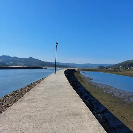 Nido Ria Villaviciosa (Asturias)