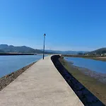 Nido Ría Villaviciosa (Asturias)