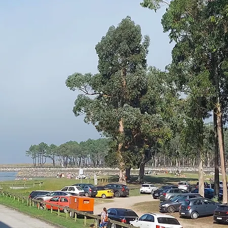 Nido Ria Villaviciosa (Asturias)