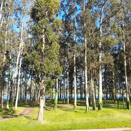 Nido Ria * Вальявисьоса